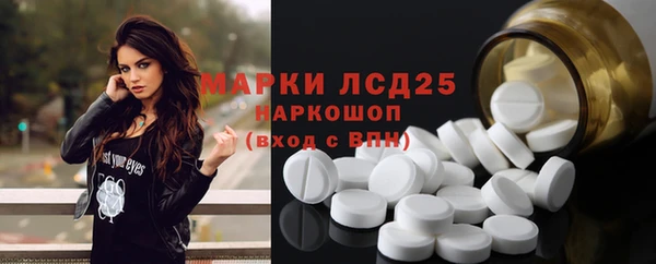гидра Новодвинск
