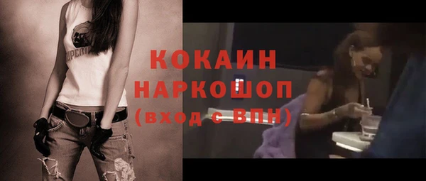 индика Баксан