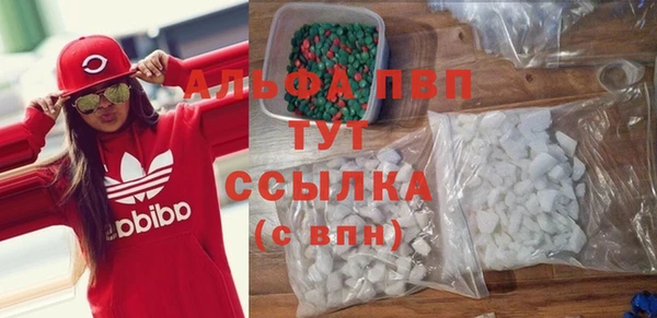 индика Баксан