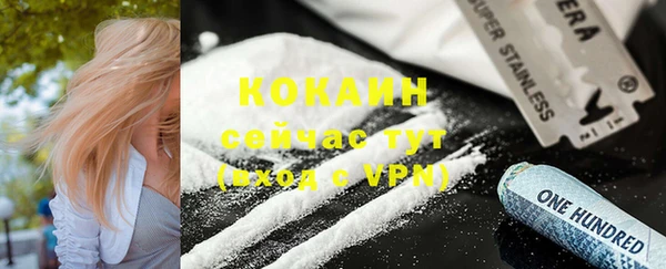 индика Баксан