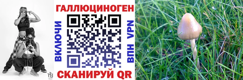 продажа наркотиков  Козельск  Галлюциногенные грибы мицелий 